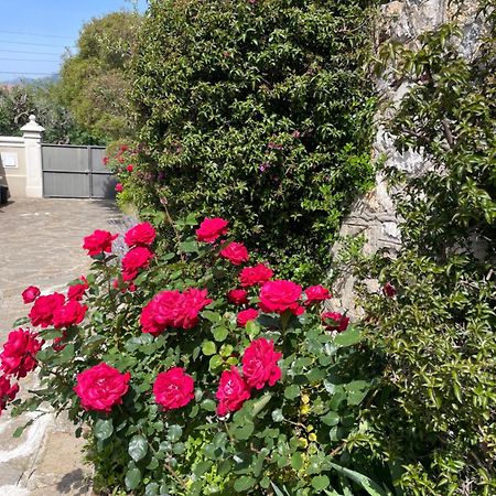 耶尔Les Trefles公寓 外观 照片